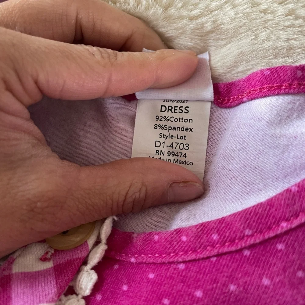 Ricrac & Ruffles pink floral dress